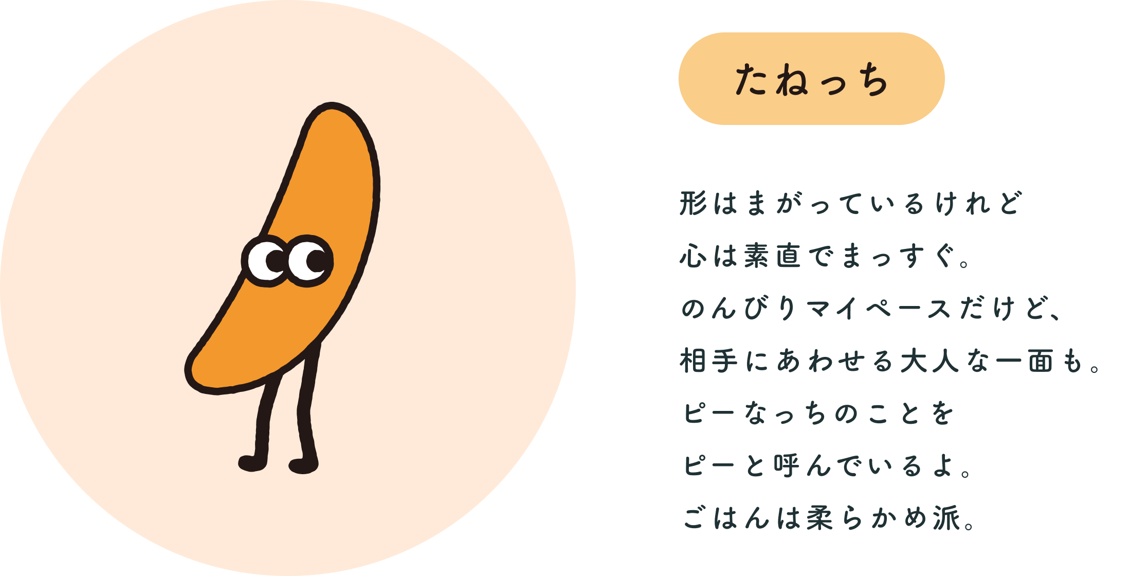たねっち 形はまがっているけれど心は素直でまっすぐ。のんびりマイペースだけど、相手にあわせる大人な一面も。ピーなっちのことをピーと呼んでいるよ。ごはんは柔らかめ派。