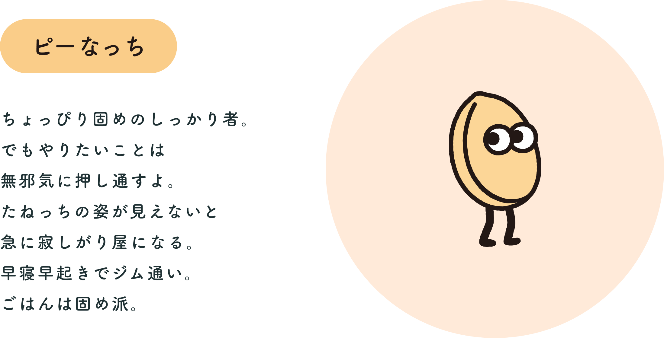ピーなっち ちょっぴり固めのしっかり者。でもやりたいことは無邪気に押し通すよ。たねっちの姿が見えないと急に寂しがり屋になる。早寝早起きでジム通い。ごはんは固め派。