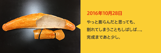 2016年10月28日 やっと膨らんだと思っても、割れてしまうこともしばしば...。完成まであと少し。
