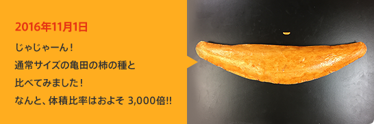2016年11月1日 じゃじゃーん！通常サイズの亀田の柿の種と比べてみました！なんと、体積比率はおよそ 3,000倍!!