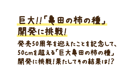 50周年を迎え、「亀田の柿の種」ならではカリッと食感のおいしさを伝えるため、「いつでもカリッと！」という新しいキャッチコピーが誕生しました。また、10の1が柿の種、0がピーナッツに見えることから10月10日を「亀田の柿の種の日」と制定致しました。