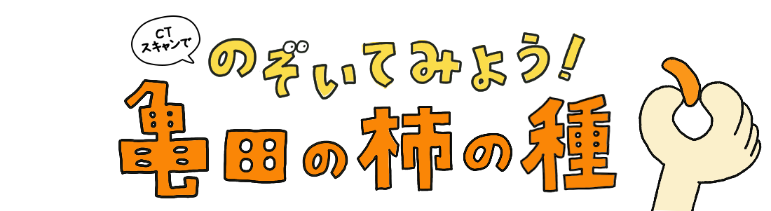 CTスキャンでのぞいてみよう！亀田の柿の種