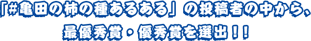 「#亀田の柿の種あるある」の投稿者の中から、最優秀賞・優秀賞を選出！