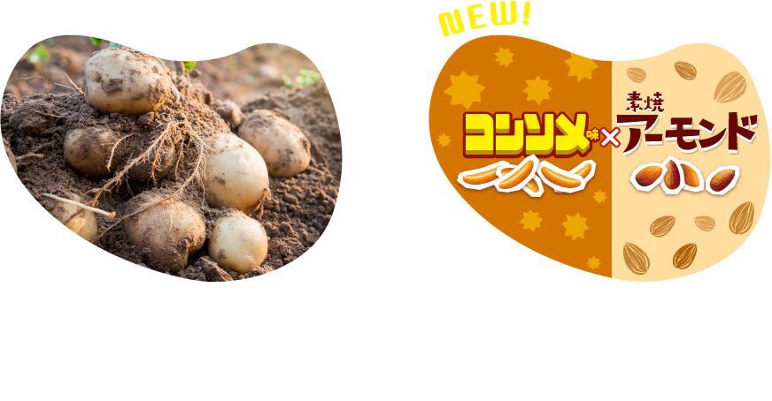 ポテトを使ってポテト味って、よくよく考えれば当たり前。なんの驚きもありません。一切ポテトを使わないからこそ、面白くて新しい。意外とこっちの方が好きというパターンがあるかも…。
