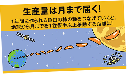 生産量は月まで届く!1年間に作られる亀田の柿の種をつなげていくと、地球から月までを1往復半以上移動する距離に!