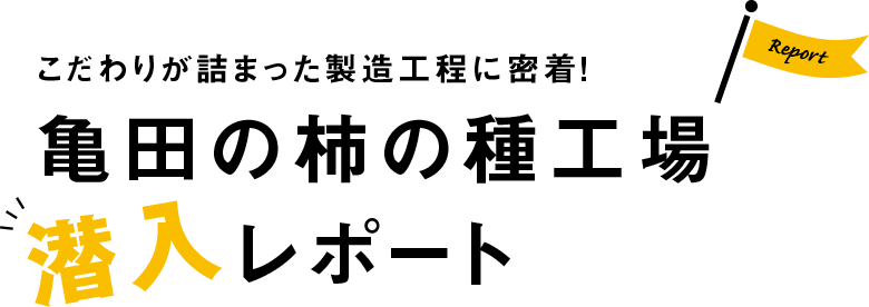 こだわりが詰まった製造工程に密着!亀田の柿の種工場潜入レポート
