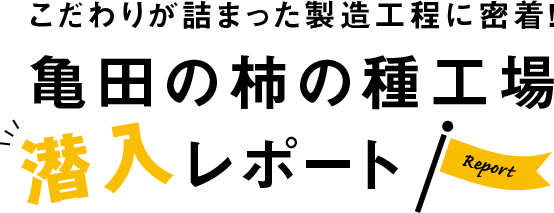 こだわりが詰まった製造工程に密着!亀田の柿の種工場潜入レポート