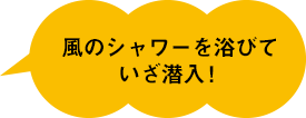 風のシャワーを浴びていざ潜入!