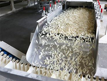 乾燥後、水分が均一に広がるよう3時間ほど寝かせる。