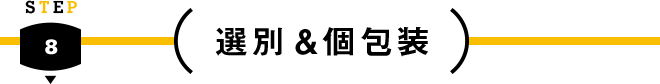 STEP 8 - 選別&個包装