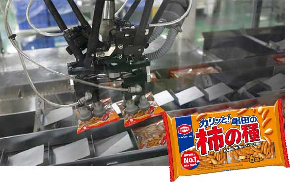 STEP 9 - パッケージ化